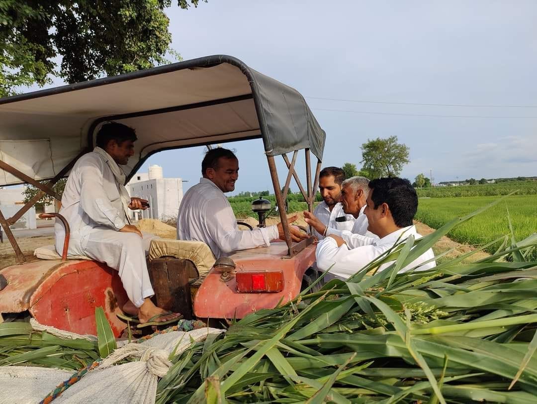 In Fatehabad there will be face-to-face competition for Sarpanch in 68 out of 243 villages
