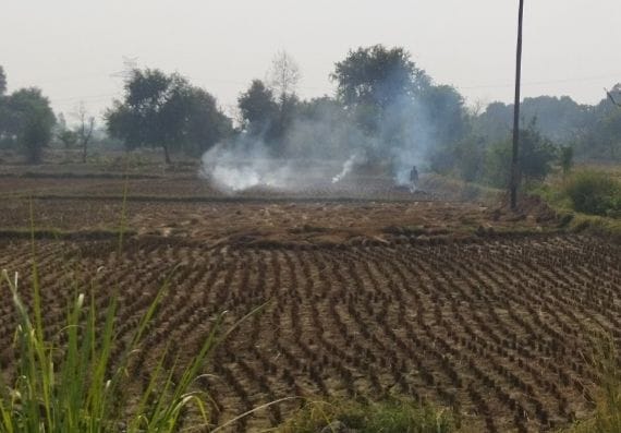 Etah: Stubble burning in the fields after harvesting paddy