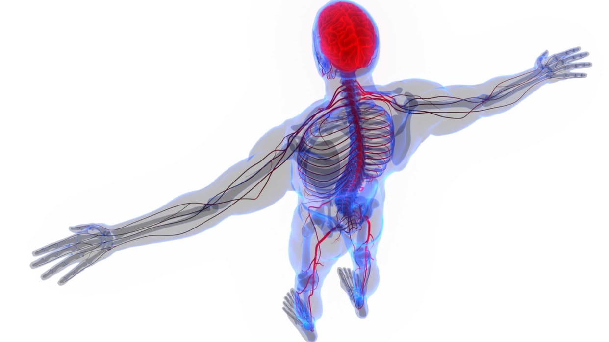 how does poor blood circulation affect the body know sign and symptoms is in hindi