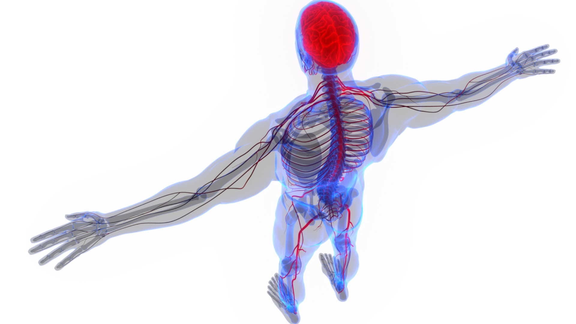 vitamin e deficiency and its treatment know why vitamin e is important for body