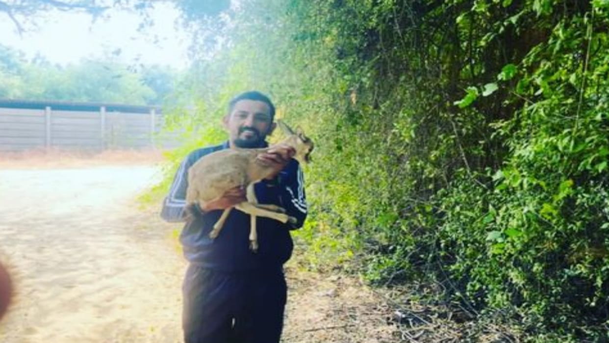 Emotional story video of pregnant deer crying narpat singh at barmer