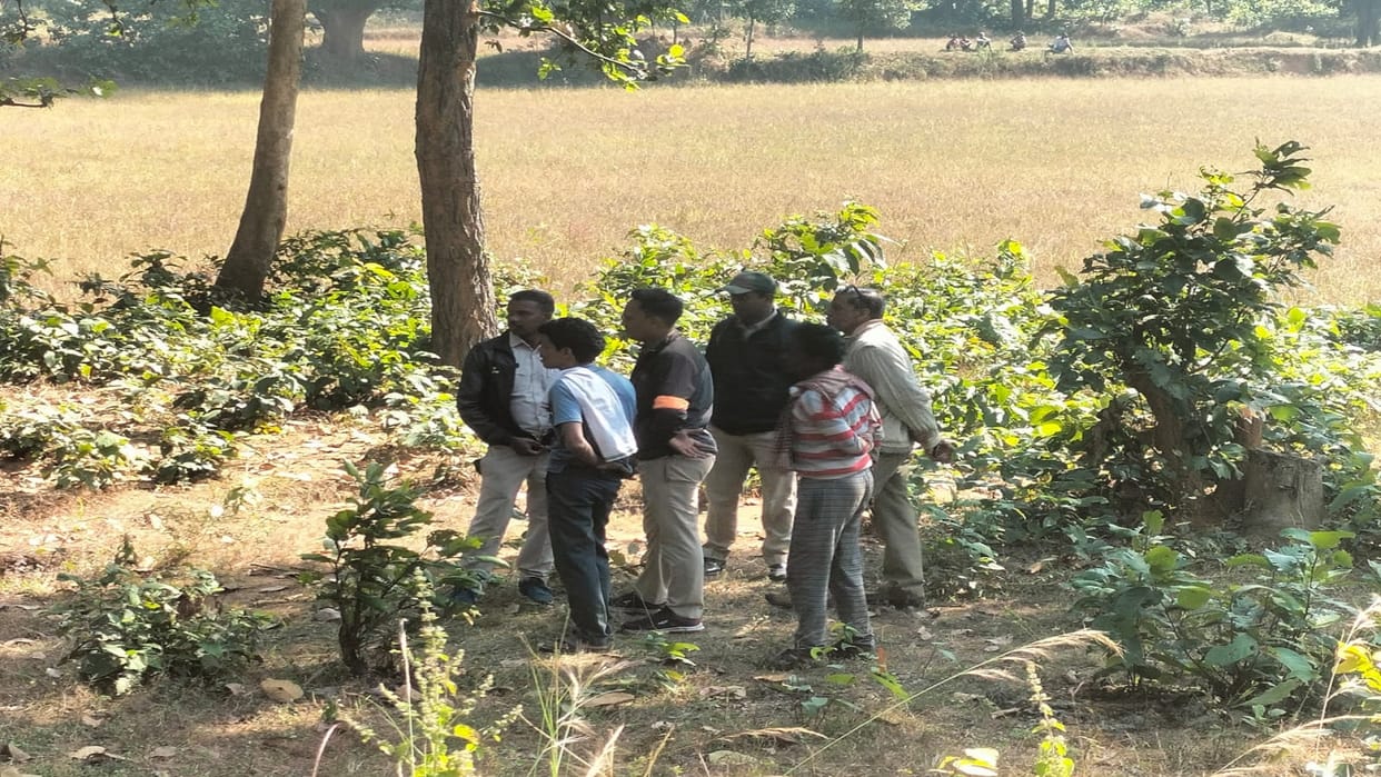 Death of female elephant due to current