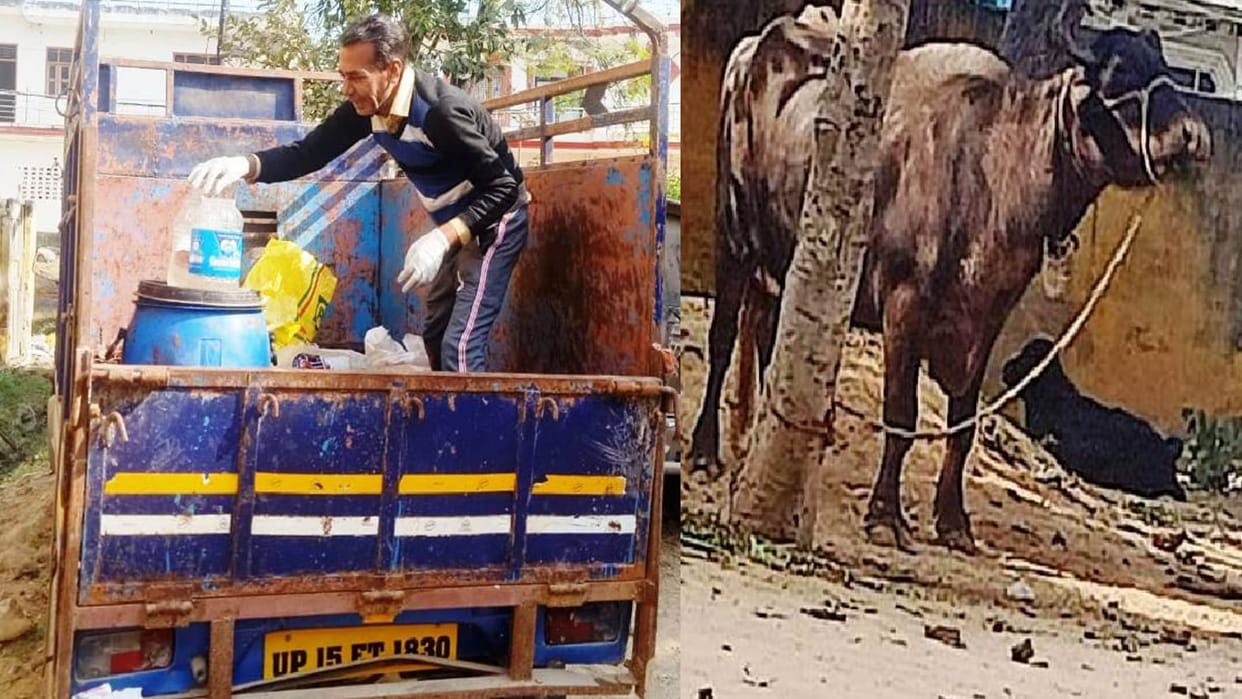 Caught illegal animal slaughter by raiding, arrested six