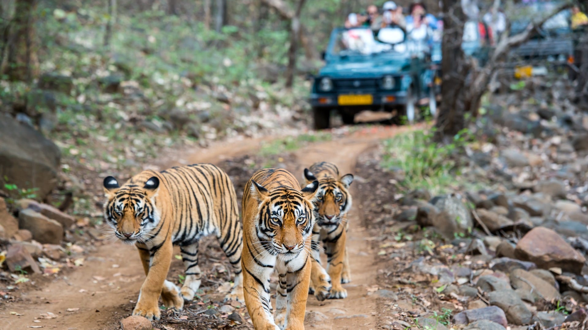 Year Ender 2022: Celebrities Favourite Holiday Destination In India 2022 From Goa To Manali Details In Hindi