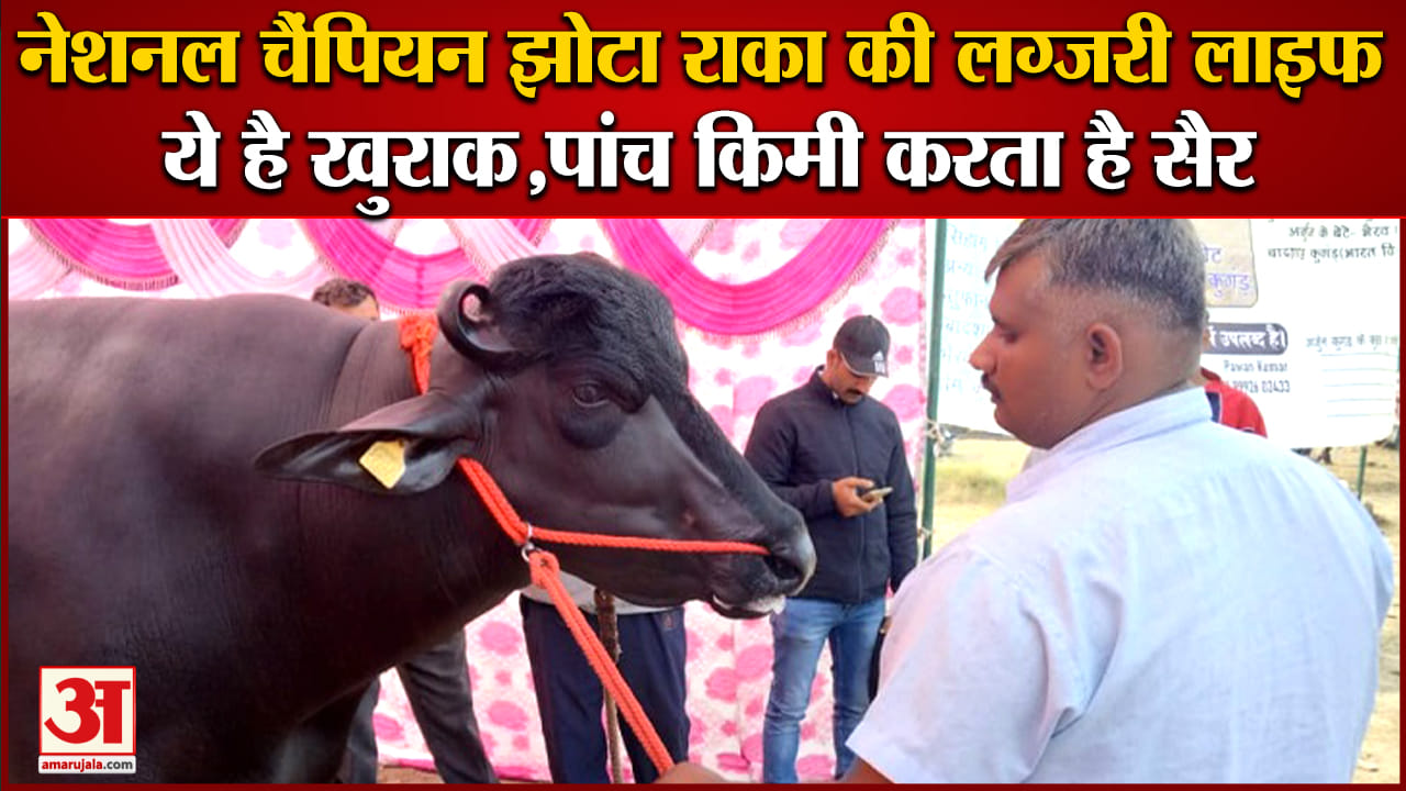 रोहतक