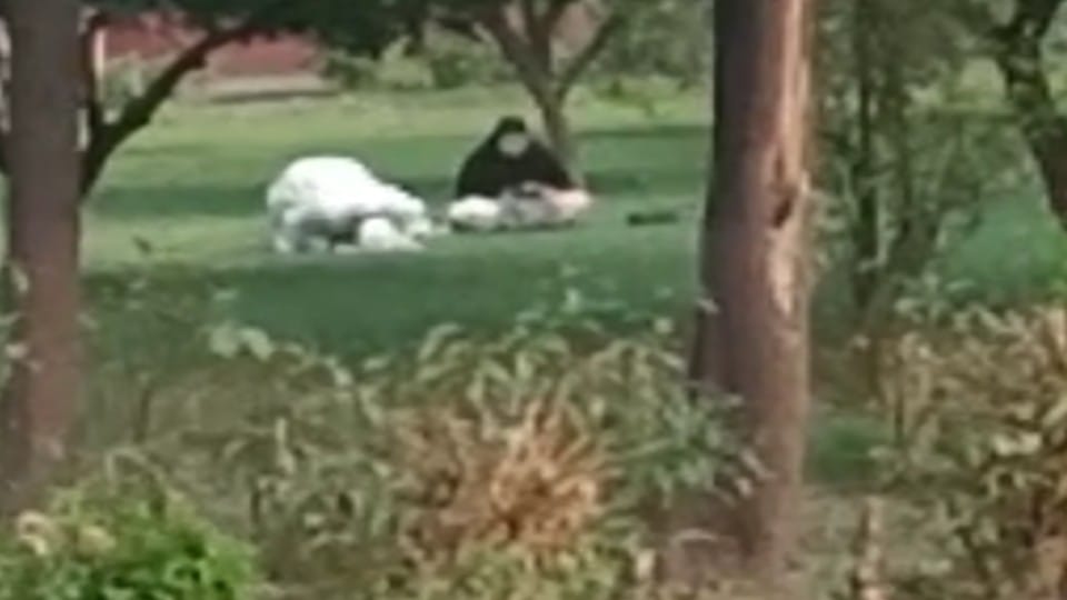 tourist offered Namaj in garden of Taj Mahal video goes viral in Agra