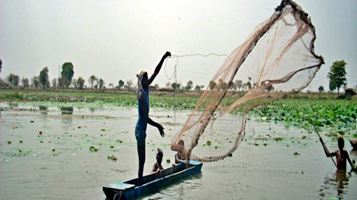 World Fisheries Day MP is achieving new achievements in fish production 400 fish parlors will change the pictu