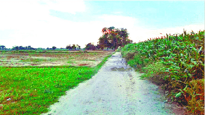 Hathras News: किसानों को शॉपिंग मॉल की तरह एक छत के नीचे मिलेंगे उर्वरक, बीज, कीटनाशक, खुलेंगे छह एग्री जंक्शन खेती