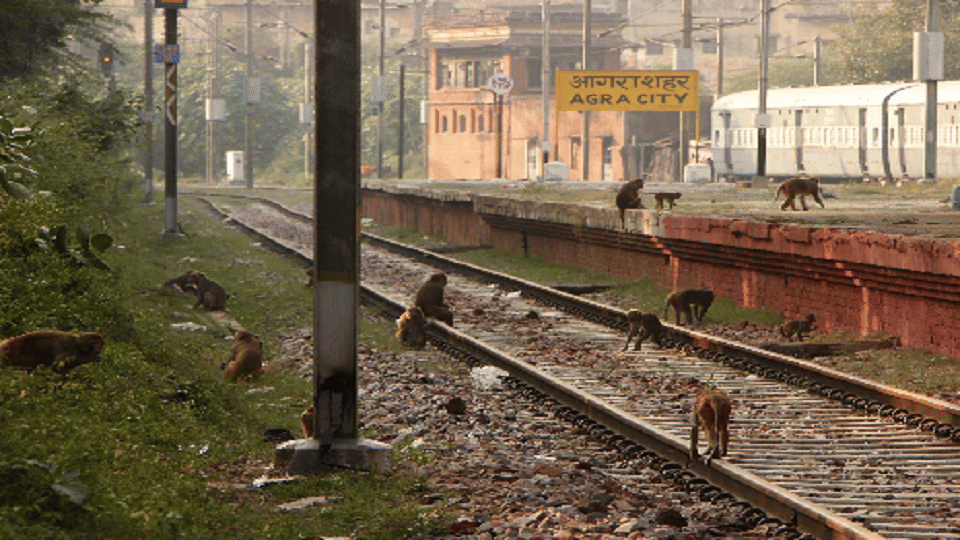 agra-city-station