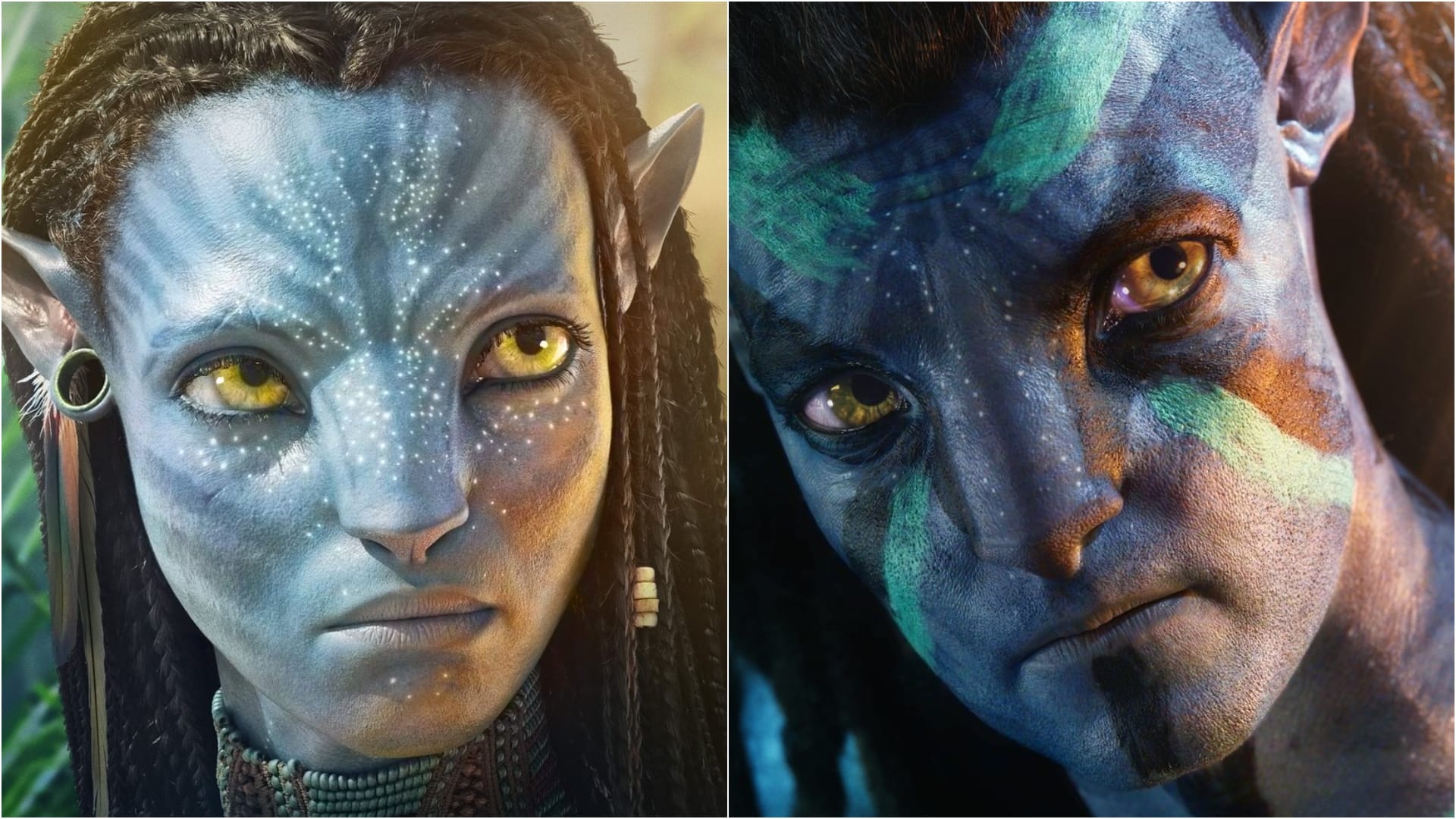 Avatar The Way of Water Advance Booking start in India 24 hours of shows running at selected theatres