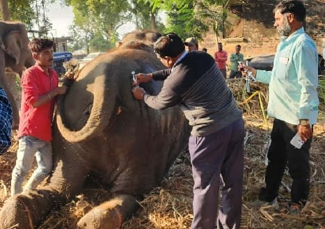 Gangakali's health suddenly deteriorated