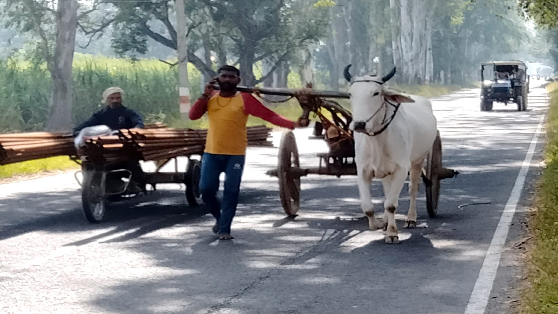 Bijnor News: Suresh joined tonga to accompany Moti after another bull Heera died, pictures getting Viral