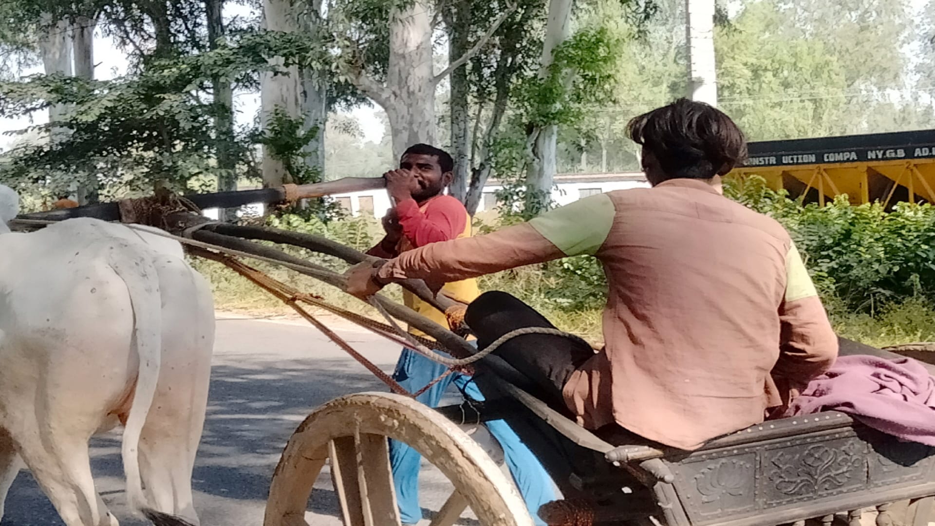 Bijnor News: Suresh joined tonga to accompany Moti after another bull Heera died, pictures getting Viral