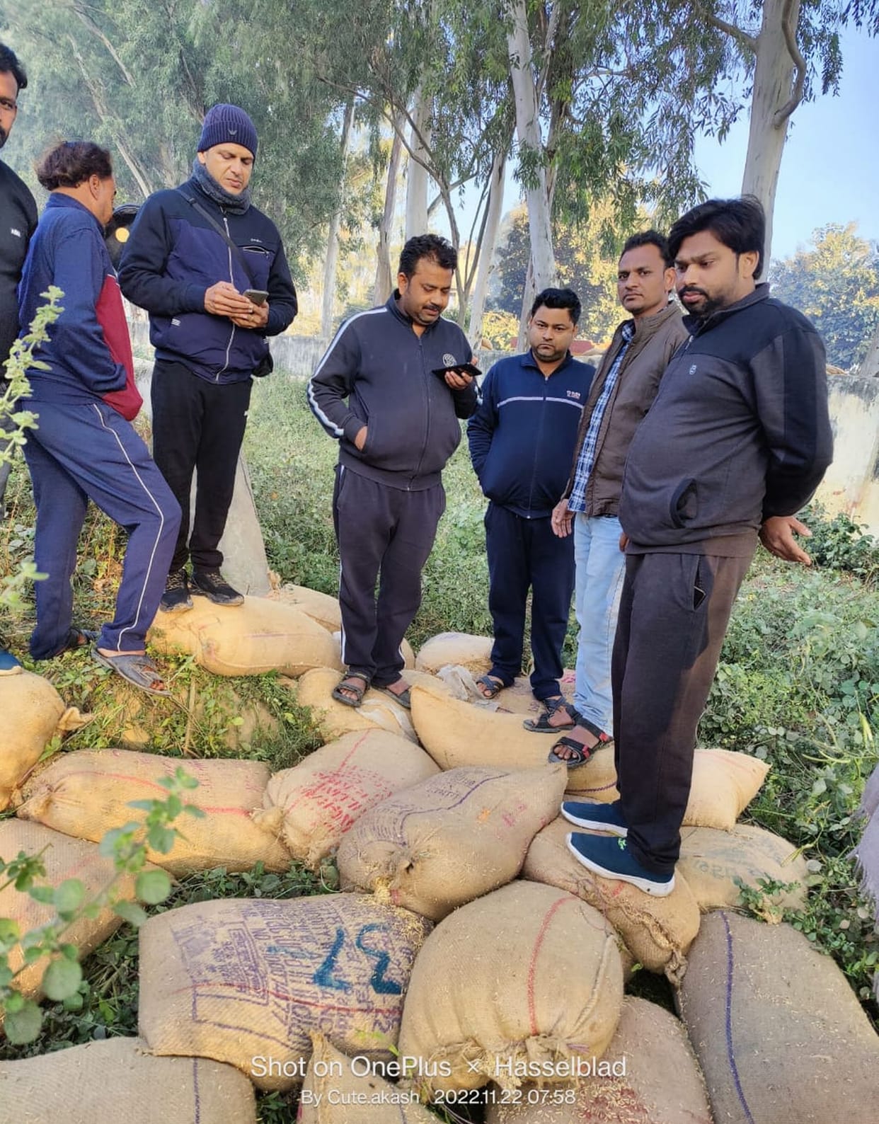 310 bags of paddy stolen from market committee
