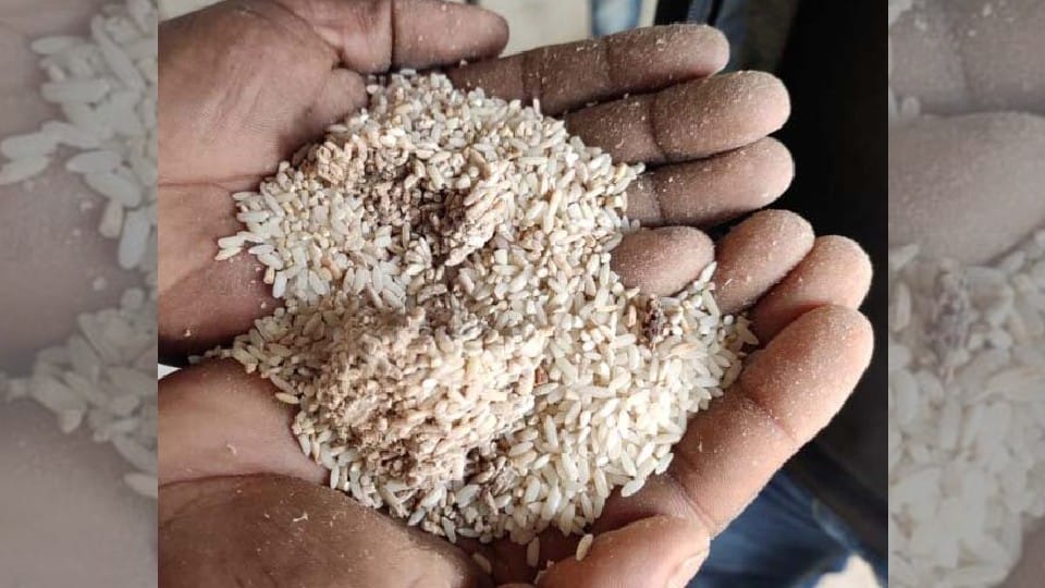 Service of two district managers, four quality inspectors terminated for distribution of bad rice