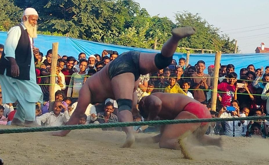 Himachal wrestler wins wrestling