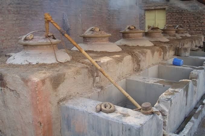 Hathras: Rose spread the fragrance of prosperity in the lives of growers