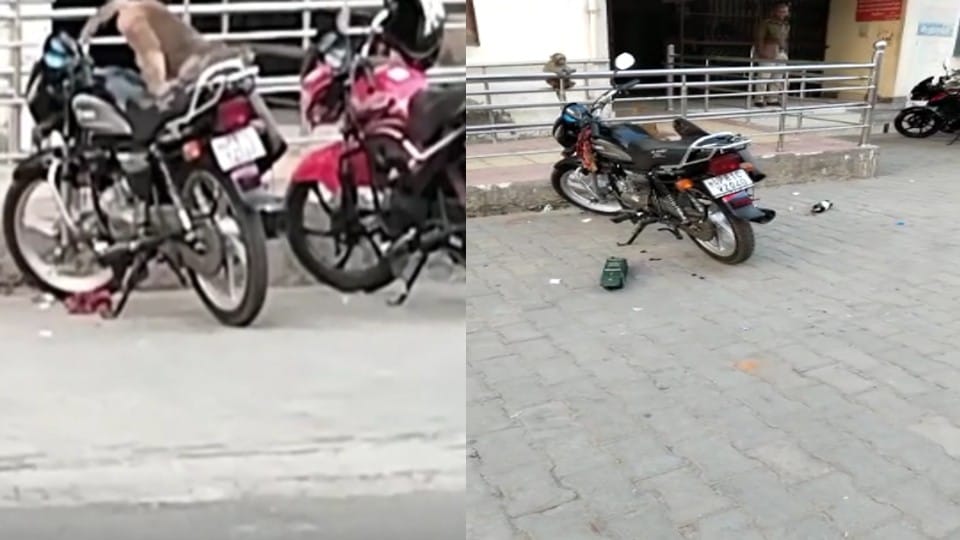 Monkeys took out liquor bottle from policeman bike outside SP office in Agra