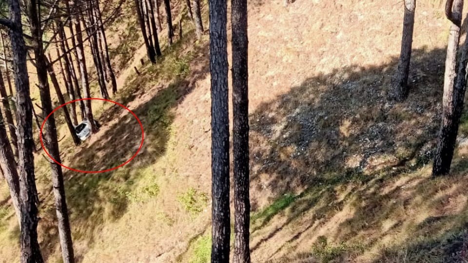 Uttarakhand Rudraprayag News: trees save five friends life during car fell into ditch