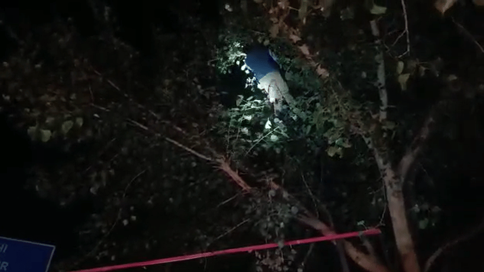 police brought down the young man by crane who climbed the tree at night in agra