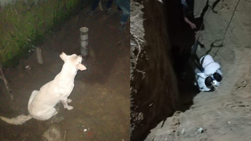 Villagers rescue two puppies from 80 feet deep well in Agra