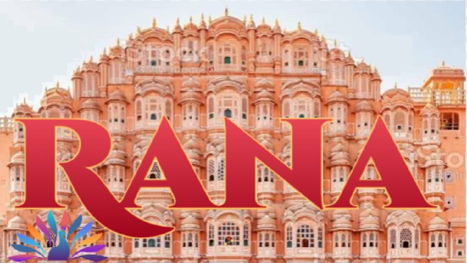 Rajasthan Association of North America honours The leading community members Who contributions to society