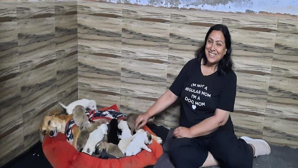 Five puppies got support 16 were found locked in sacks agra