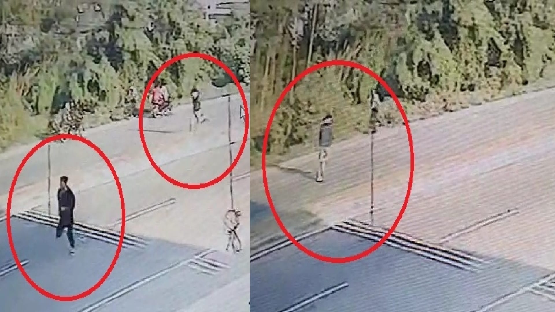 Bijnor Police reveals shamik Murder case, girlfriend became the reason for murder