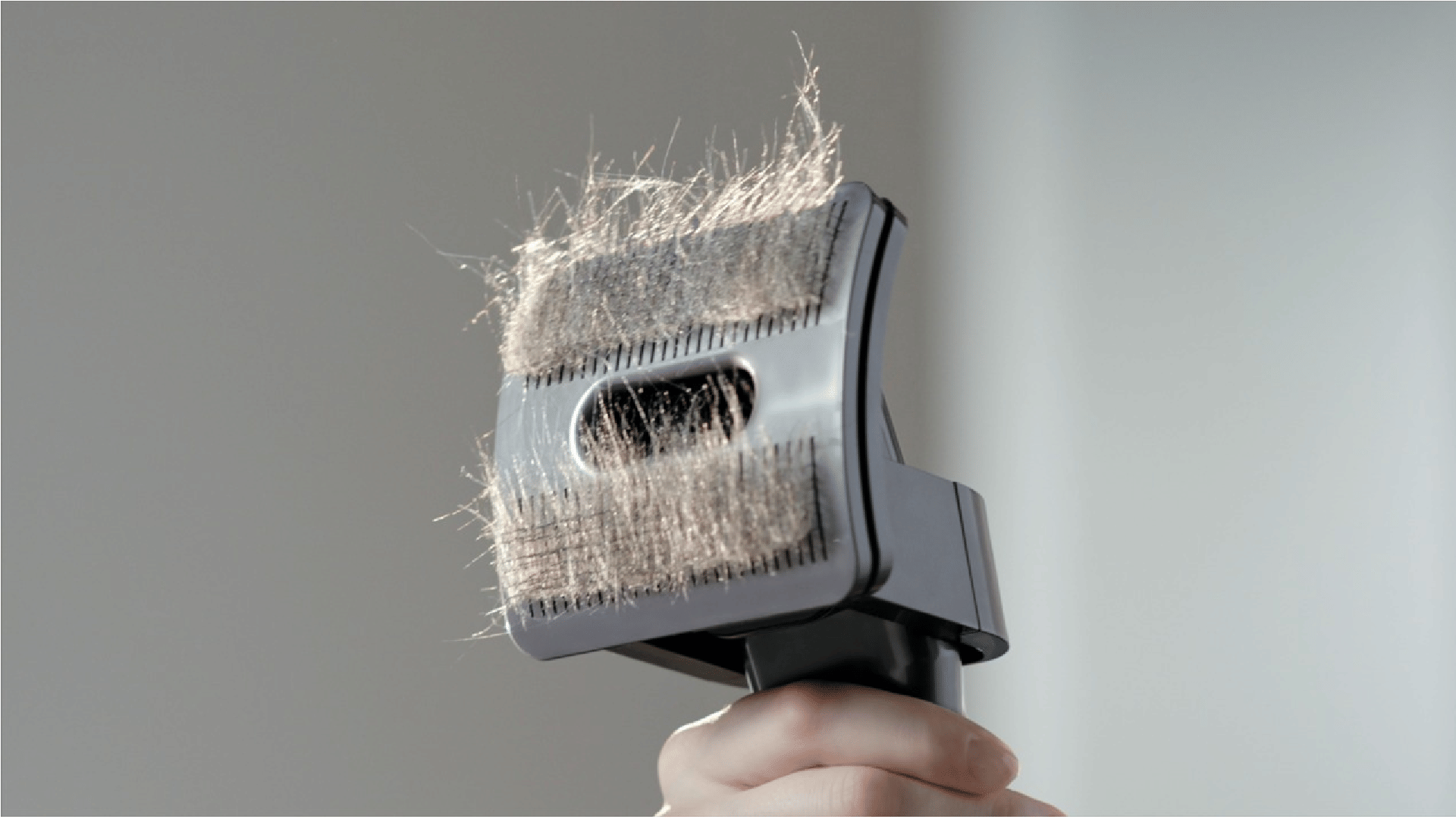 Dyson ने भारत में लॉन्च किया पेट ग्रूमिंग किट, जानें कीमत और फीचर्स Dyson launched its Pet Groom Tool for mess free grooming and healthier homes in India
