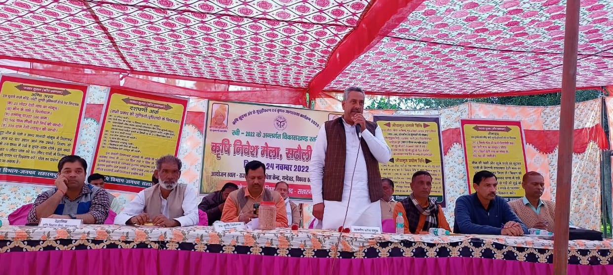 Sow with the intercropping of oilseeds and pulse crops