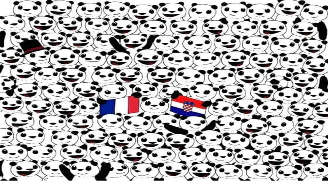 Viral Optical Illusion Photo: Find Out Hidden Panda from Picture in Few Seconds Illusion to Test Your Brain IQ