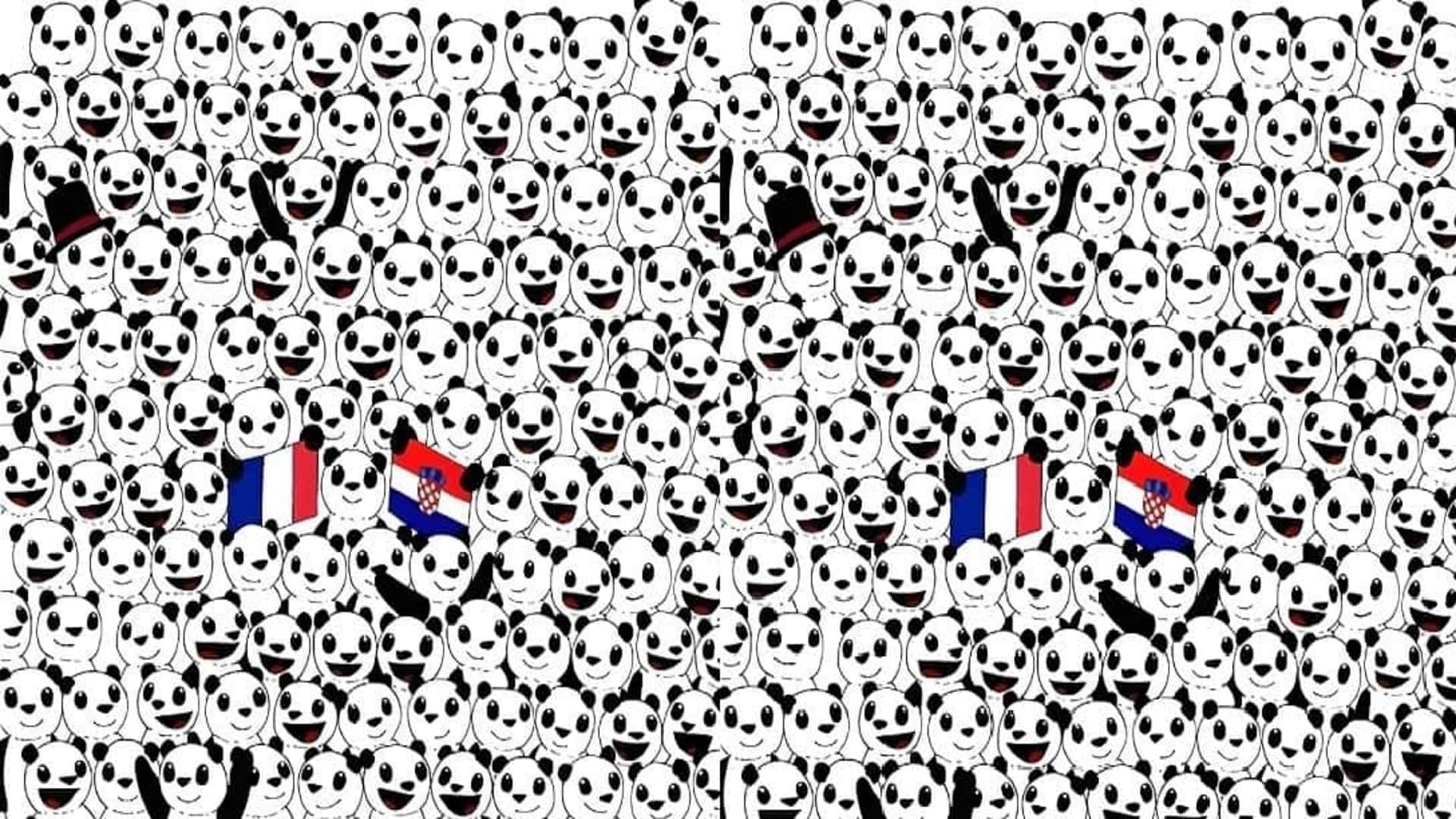Viral Optical Illusion Photo: Find Out Hidden Panda from Picture in Few Seconds Illusion to Test Your Brain IQ