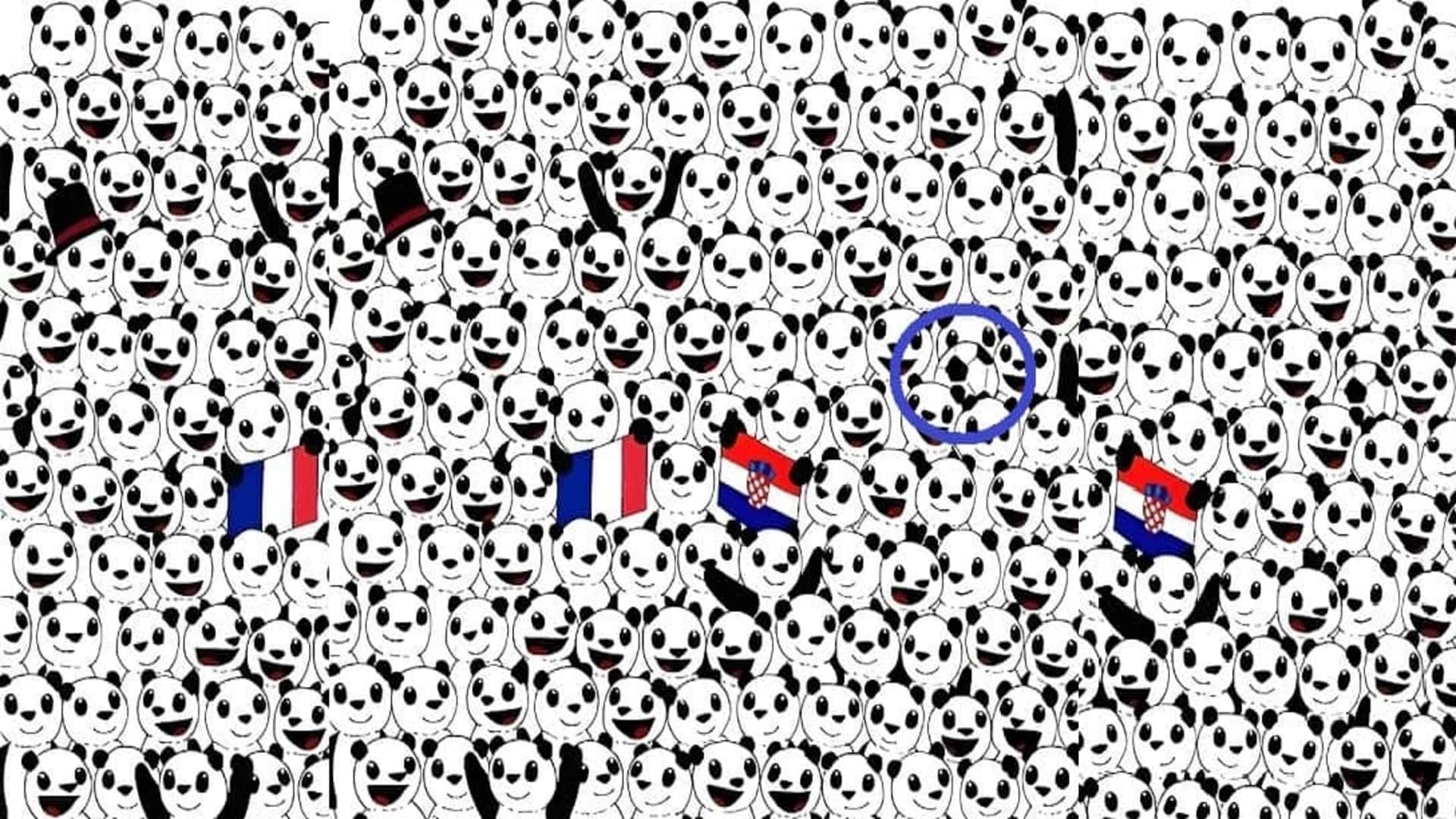 Viral Optical Illusion Photo: Find Out Hidden Panda from Picture in Few Seconds Illusion to Test Your Brain IQ