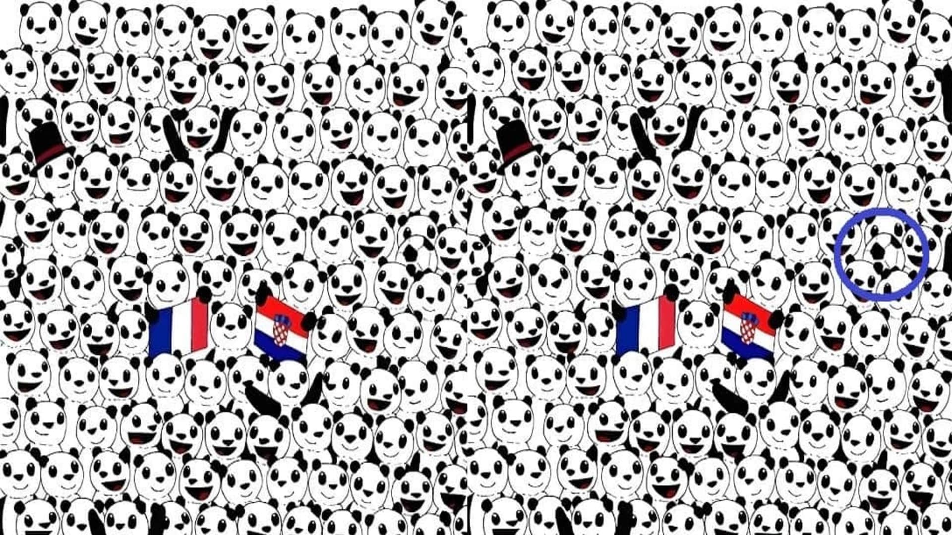 Viral Optical Illusion Photo: Find Out Hidden Panda from Picture in Few Seconds Illusion to Test Your Brain IQ