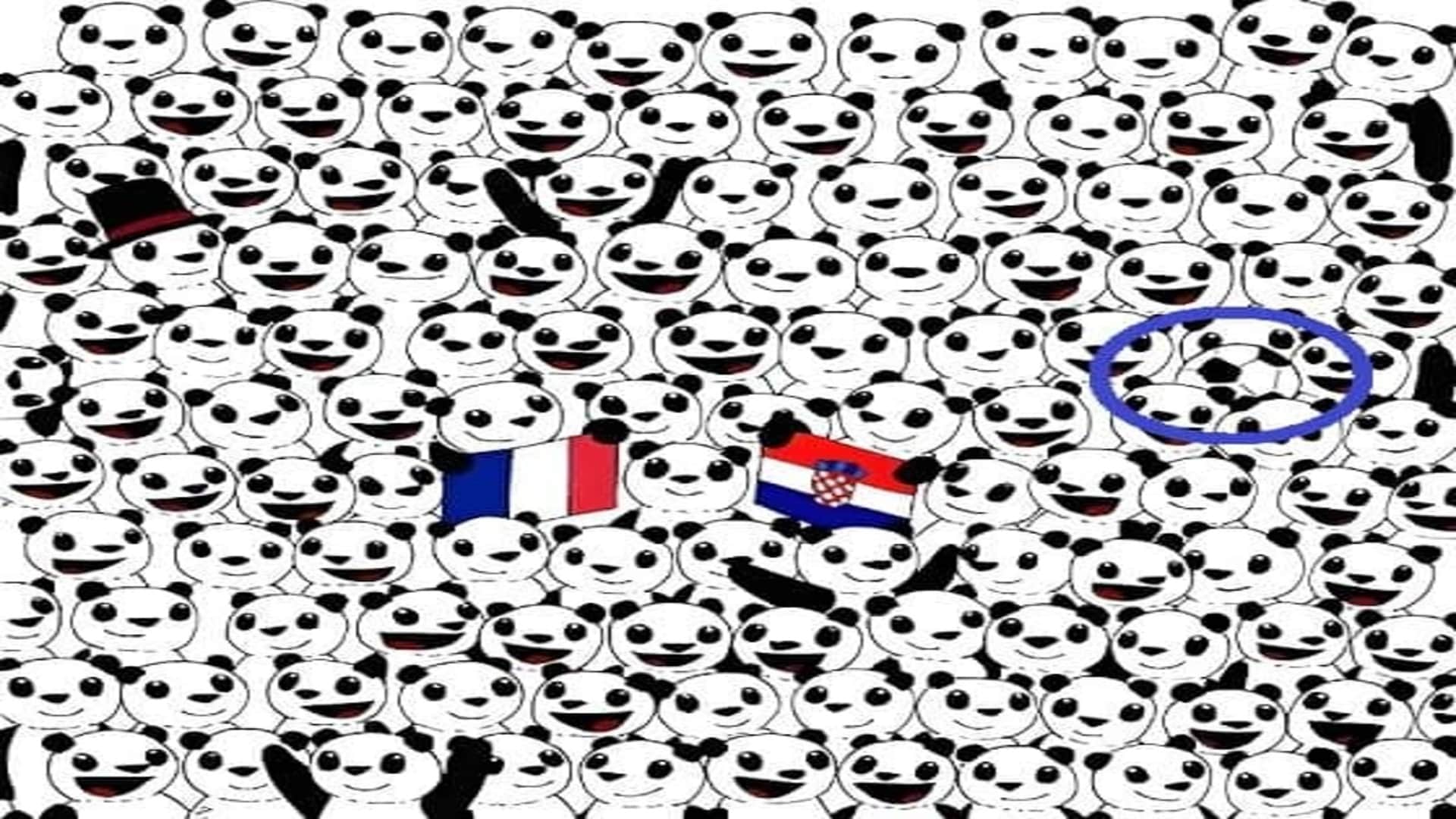 Viral Optical Illusion Photo: Find Out Hidden Panda from Picture in Few Seconds Illusion to Test Your Brain IQ