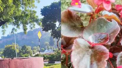 Coldest night of November in three cities of Rajasthan cold will set new records this year