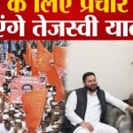 बीएमसी चुनाव