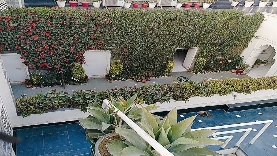 hobby of flowering and greenery was such that the house itself was converted into a green house