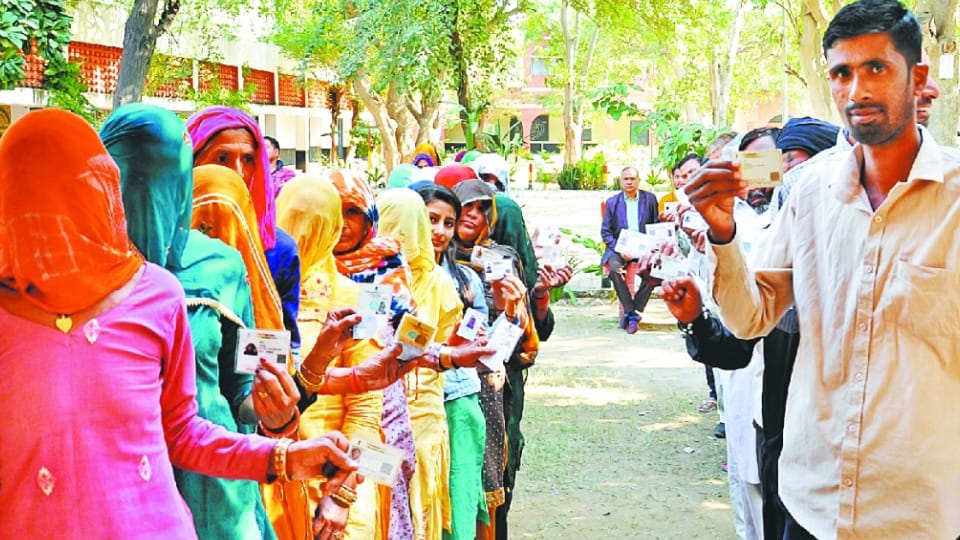 83.2 percent voting in four districts in Haryana Panchayat Election