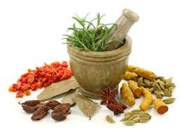 Land received after two years for eight Ayurvedic hospitals