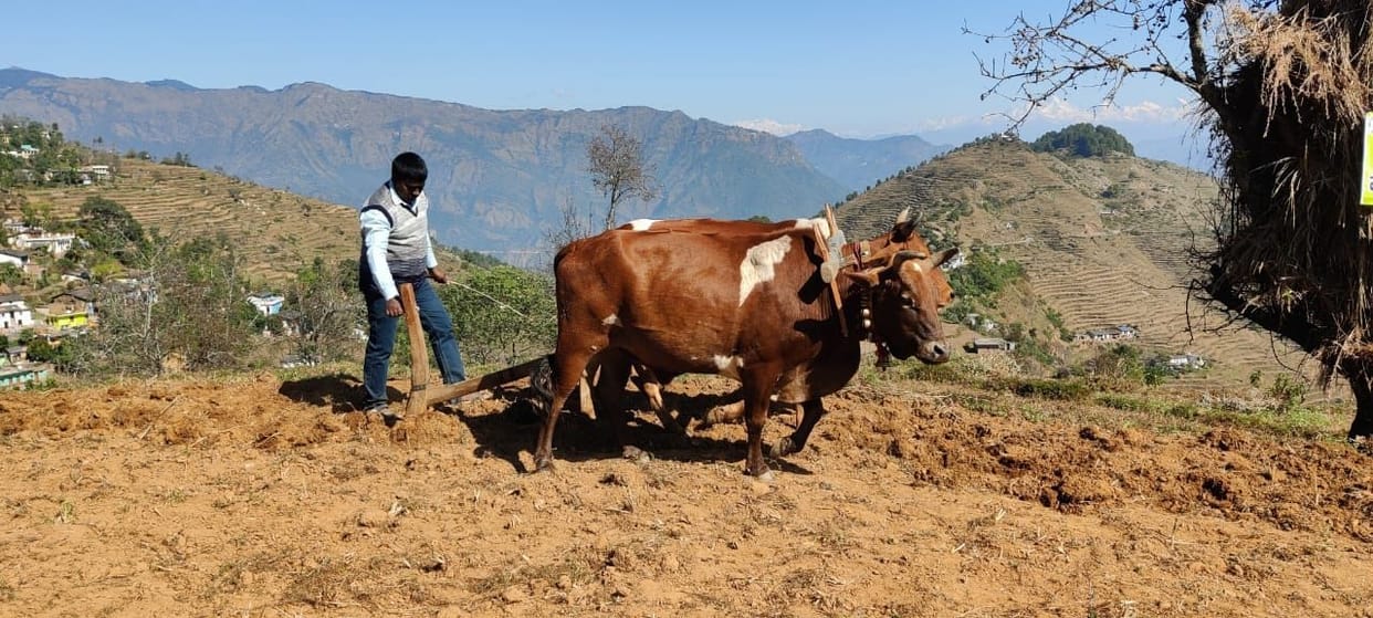 Scientists are motivating farmers for organic farming