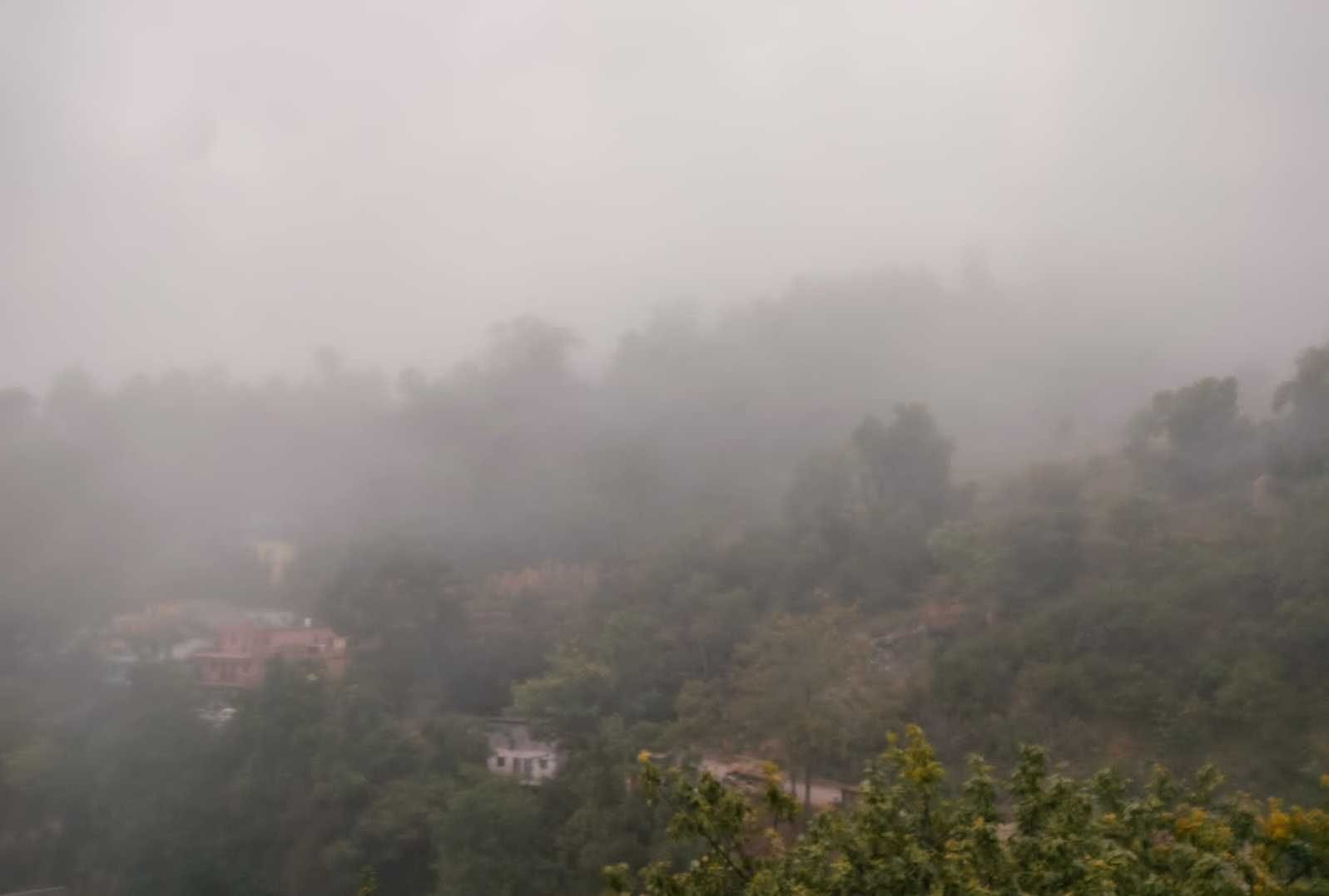 Temperature Dips Due to Fog