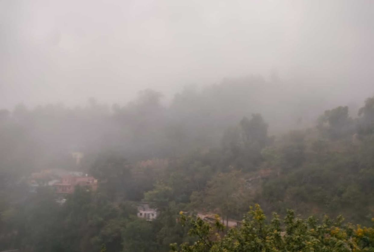 Temperature Dips Due to Fog