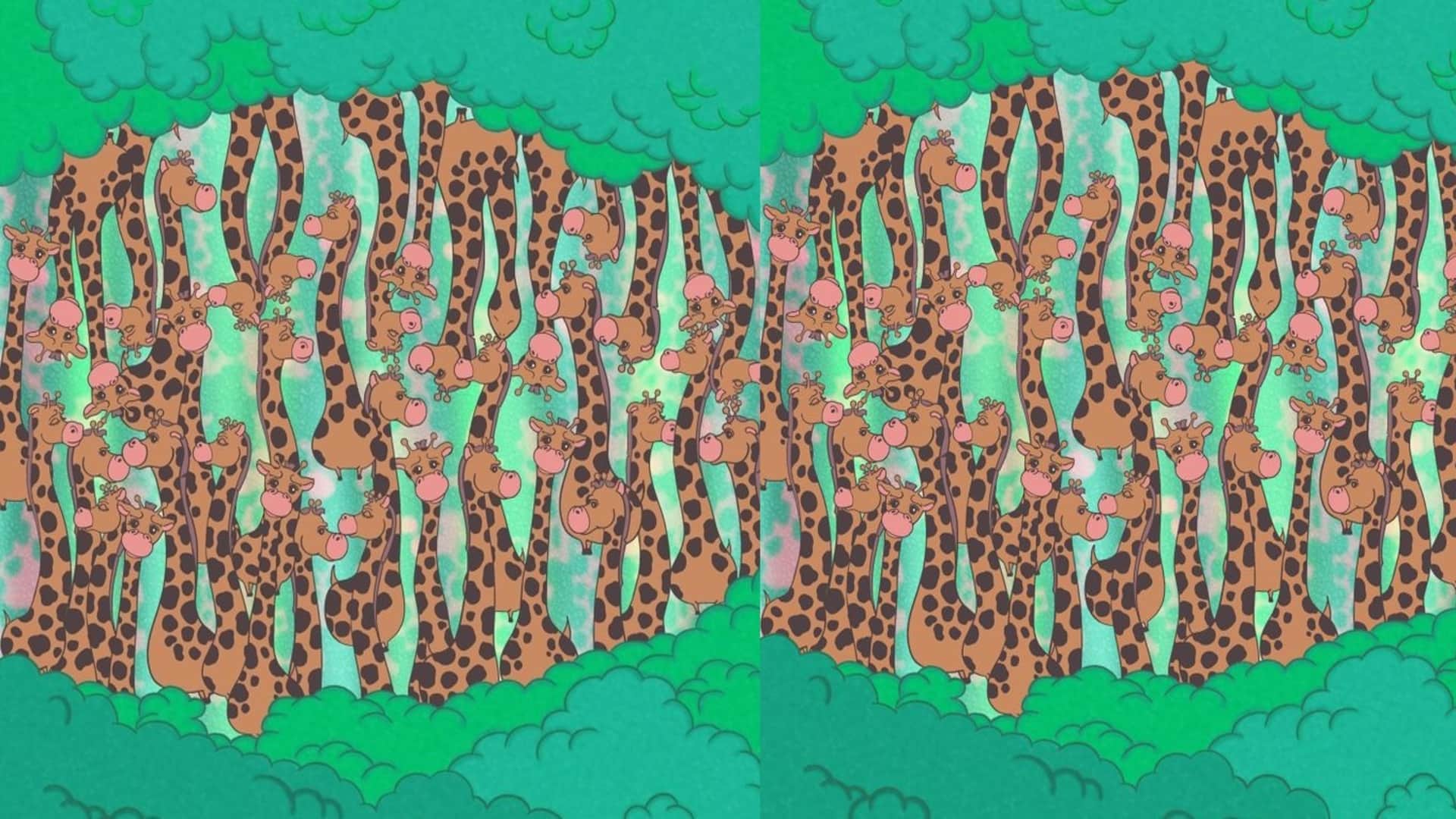 Optical illusion: Spot the hidden snake in picture in 13 seconds test your brain iq