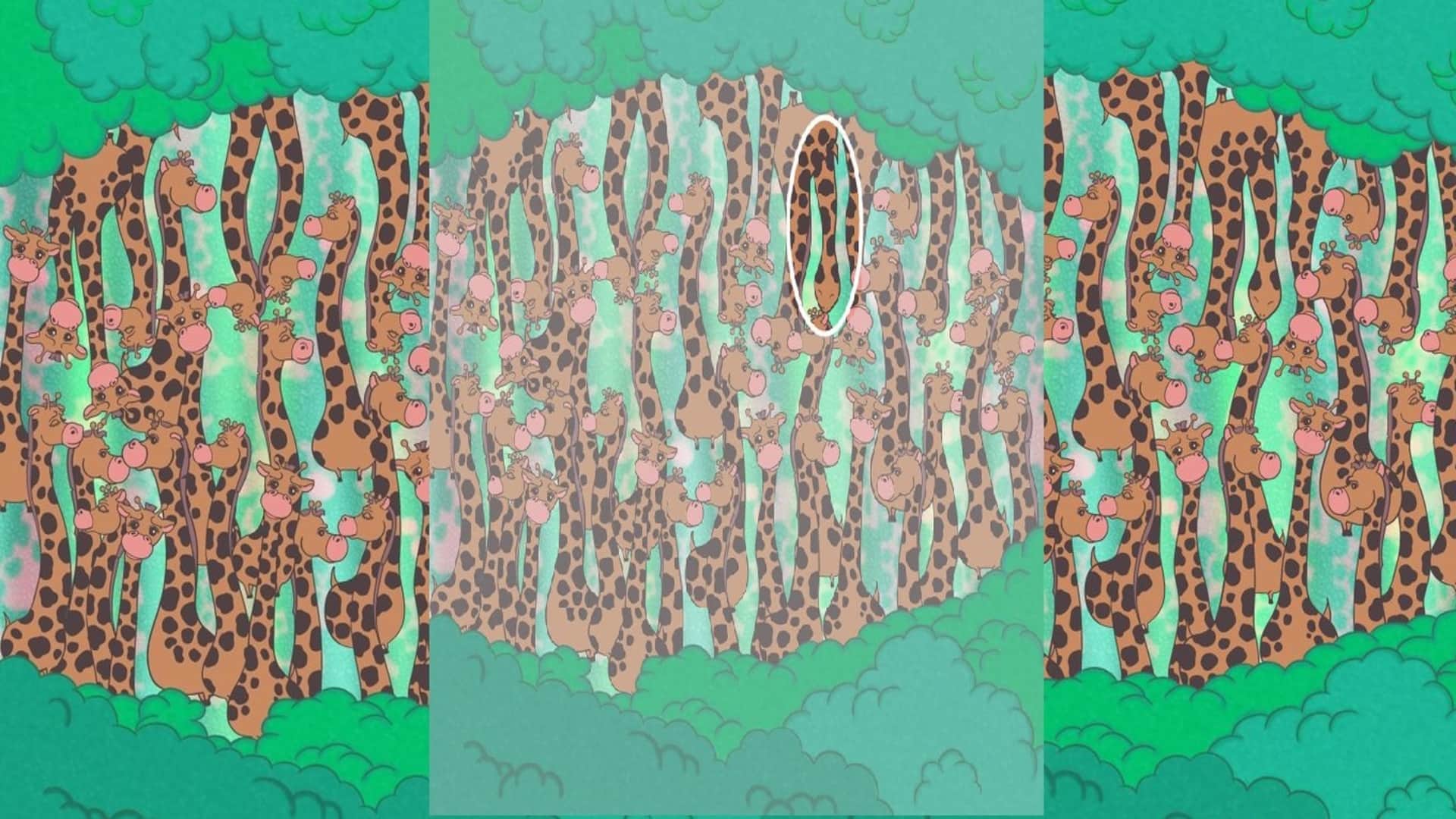 Optical illusion: Spot the hidden snake in picture in 13 seconds test your brain iq