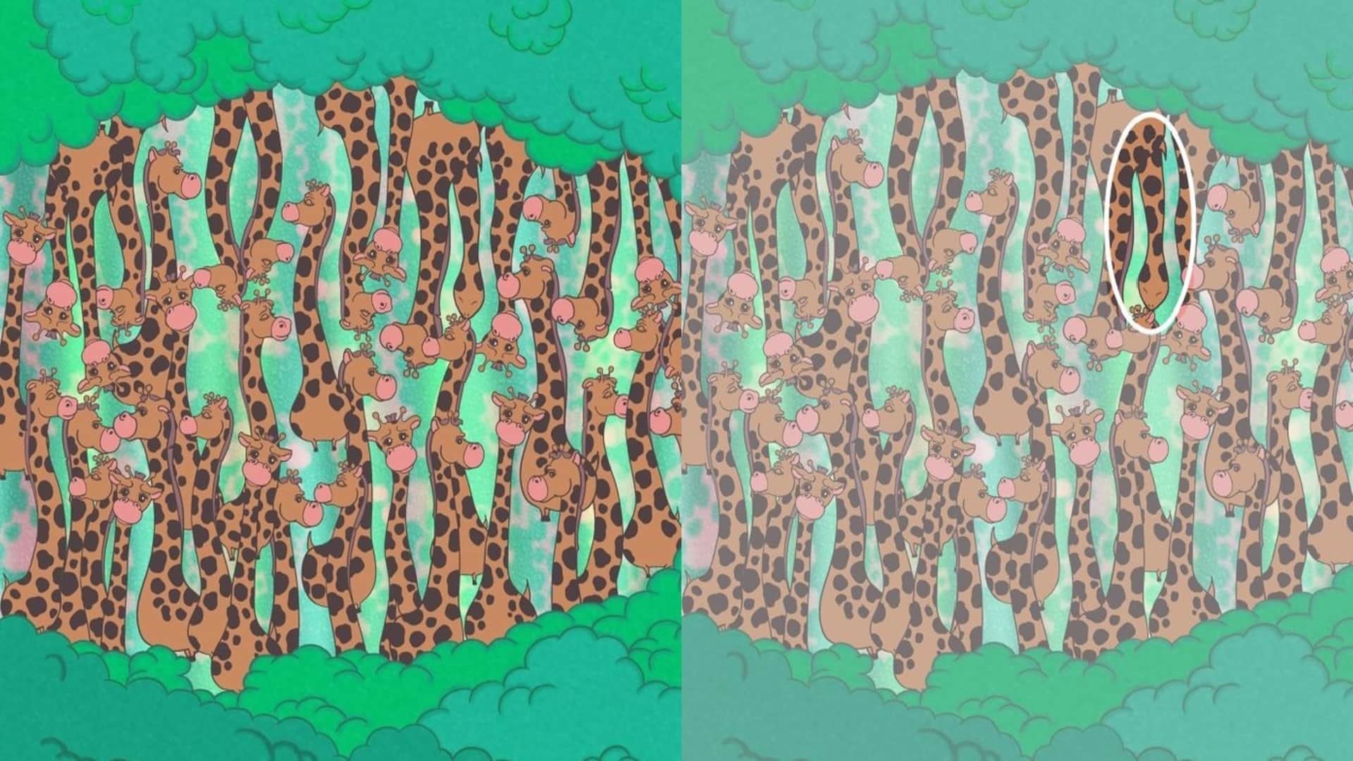 Optical illusion: Spot the hidden snake in picture in 13 seconds test your brain iq