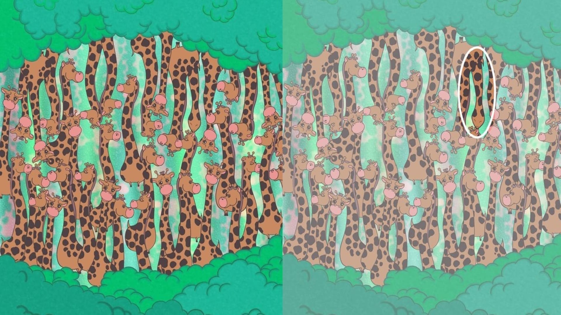 Optical illusion: Spot the hidden snake in picture in 13 seconds test your brain iq