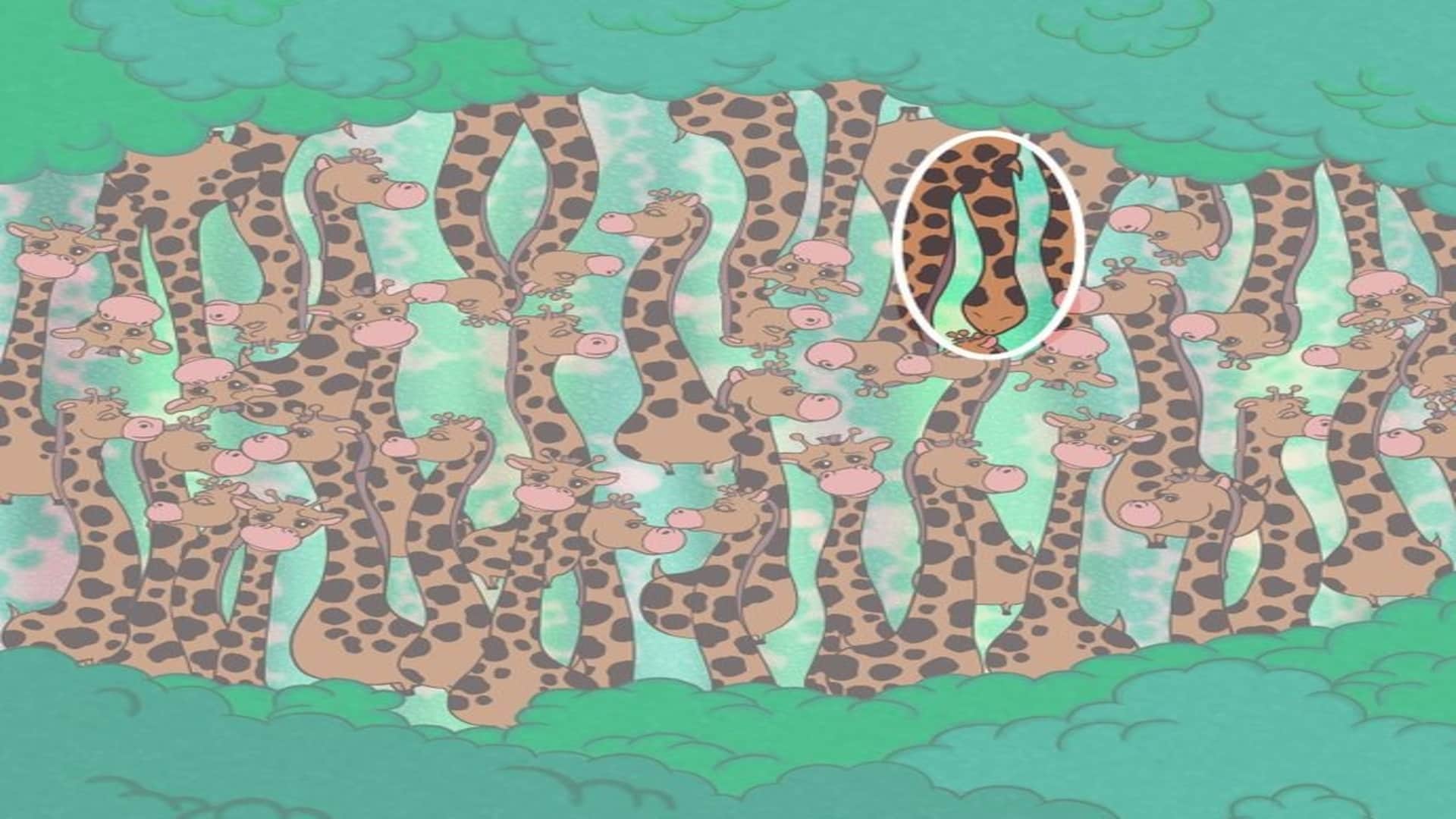 Optical illusion: Spot the hidden snake in picture in 13 seconds test your brain iq