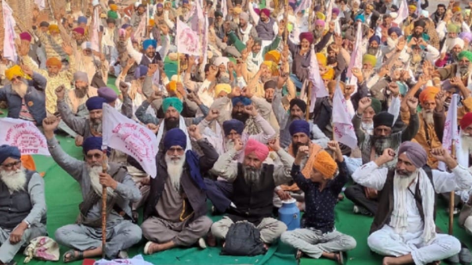 Kisan Mazdoor Sangharsh Committee protest at DC offices in Punjab