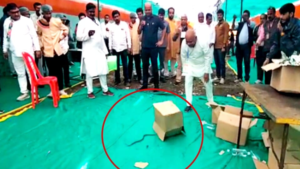 Bharat Jodo Yatra: Snake found near Rahul Gandhi's camp